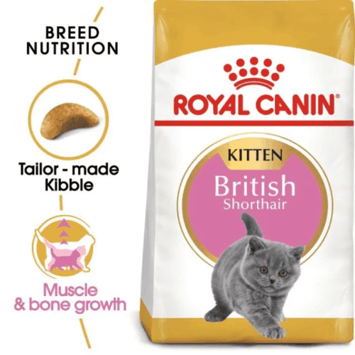 Royal Canin British shorthair kitten 2kg