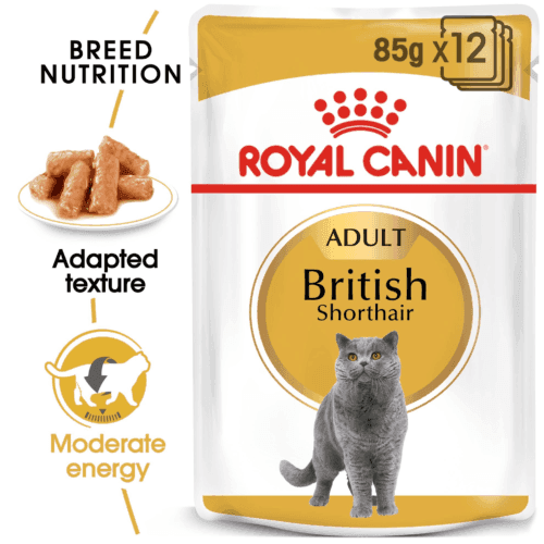 Royal Canin® British Shorthair (12/pack)