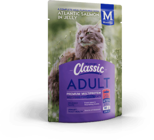 Montego Classic Adult - Salmon Wet Cat Food 85 g (12/pack)
